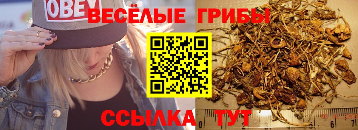 Галлюциногенные грибы ЛСД Усолье-Сибирское