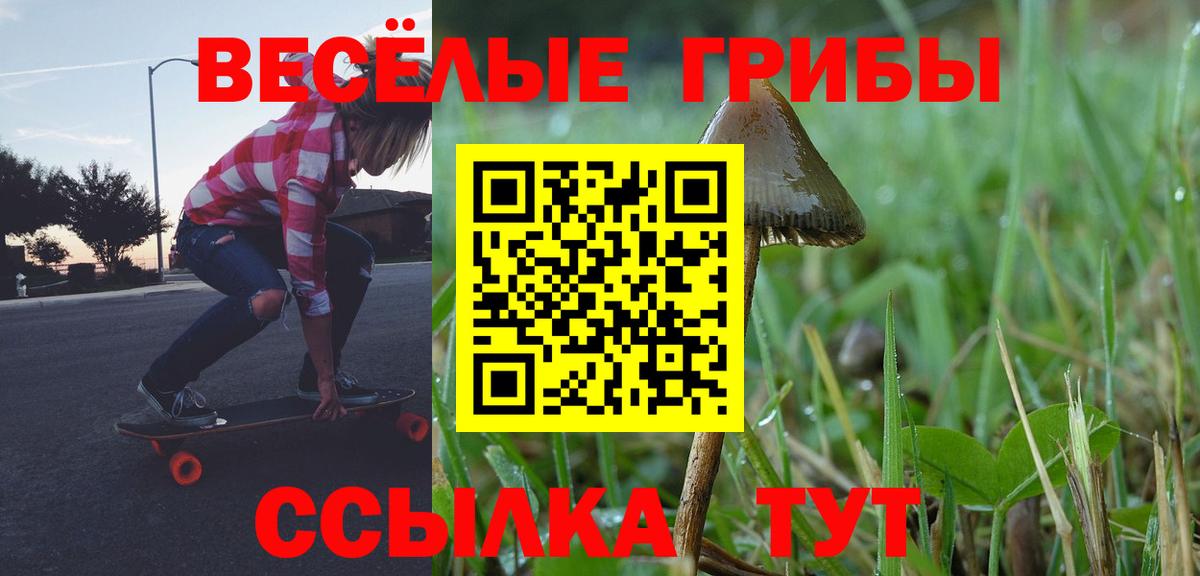 Галлюциногенные грибы ЛСД  Галлюциногенные грибы Psilocybine cubensis  Усолье-Сибирское  Вход с VPN 